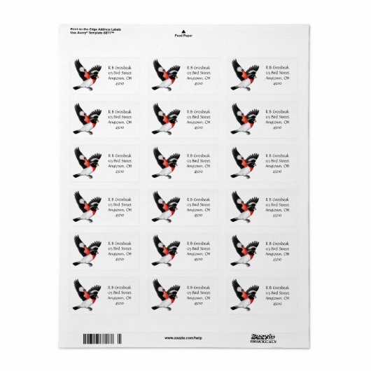 Roos Etiket op breukstreep (Full Sheet)