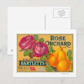 Roos Etiket op peren Briefkaart (Voorkant / Achterkant)