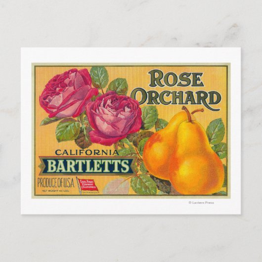 Roos Etiket op peren Briefkaart (Voorkant)