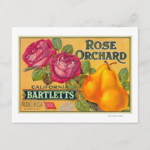 Roos Etiket op peren Briefkaart