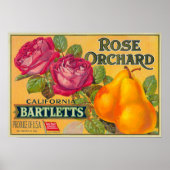 Roos Etiket op peren Poster (Voorkant)