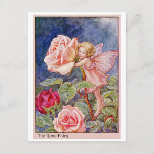 Roos Fairy Briefkaart