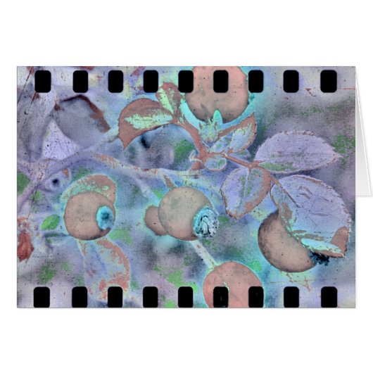 Roos film 3 (Voorkant Horizontaal)