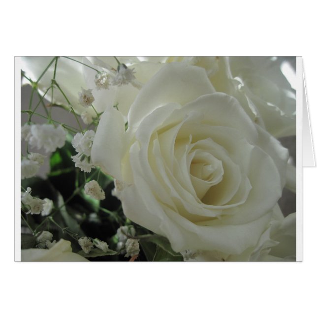 Roos Floral (Voorkant Horizontaal)