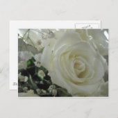 Roos Floral Briefkaart (Voorkant / Achterkant)