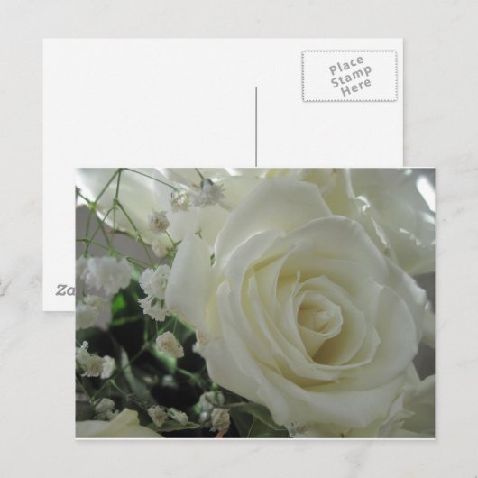 Roos Floral Briefkaart (Voorkant / Achterkant)