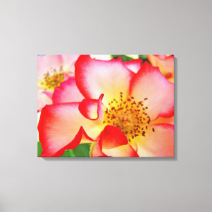 Roos Floral Garden Canvas Fotografie prints