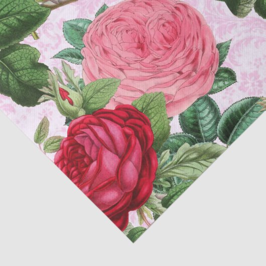  Roos Floral Pink Damask Tissuepapier (Detail)