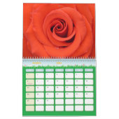 Roos Flower 2017 Calendar Kalender (Mar 2026)