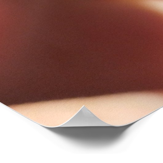 Roos Flower Poster (Hoek)