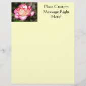 Roos Flyer Sjabloon Roze witte rozengele brochure (Voorkant)