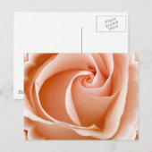 Roos Foto Briefkaart (Voorkant / Achterkant)