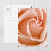 Roos Foto Briefkaart (Voorkant / Achterkant)