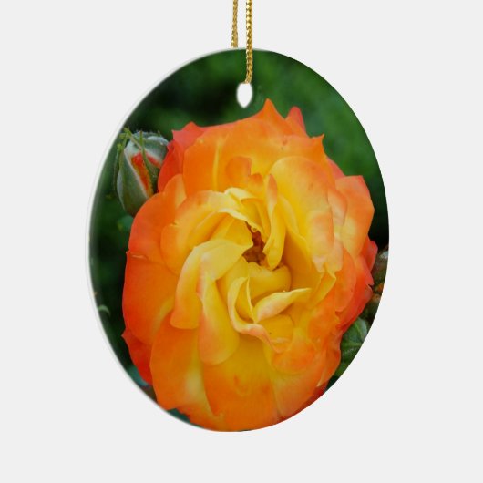 Roos Foto Ornament (Rechts)