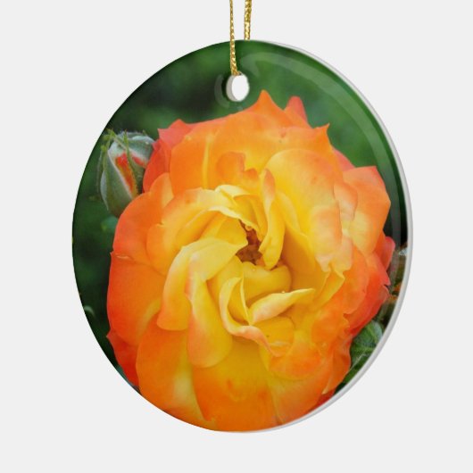 Roos Foto Ornament (Links)