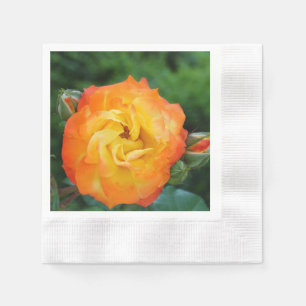 Roos fotopapier servetten