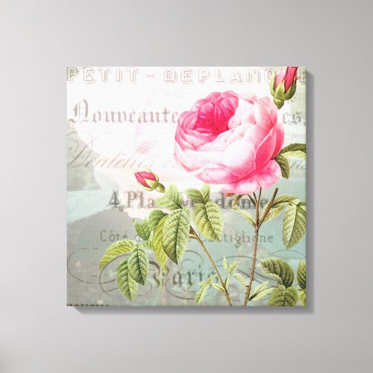 Roos Frans Accent Shabby Premium Wrapped Canvas Afdruk (Voorkant)
