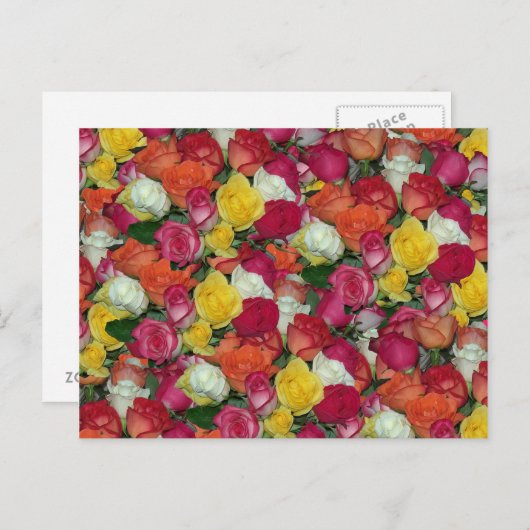 roos galore briefkaart (Voorkant / Achterkant)