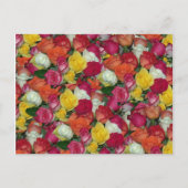 roos galore briefkaart (Voorkant)