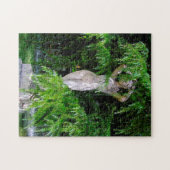 Roos Garden Madrid. Legpuzzel (Horizontaal)