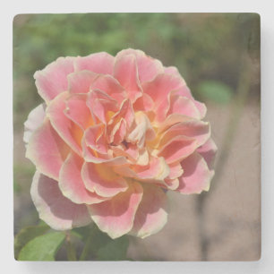 Roos Garden Onderzetter