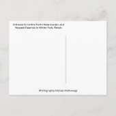 Roos Garden & Peacock Fountain Winter Park Florida Briefkaart (Achterkant)