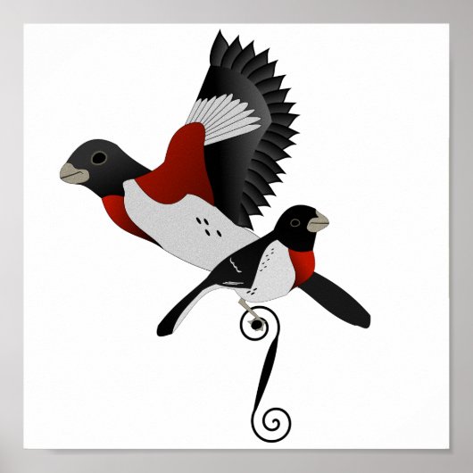 Roos Gebrekte gegrosbeak Kardinaal vogel Poster (Voorkant)
