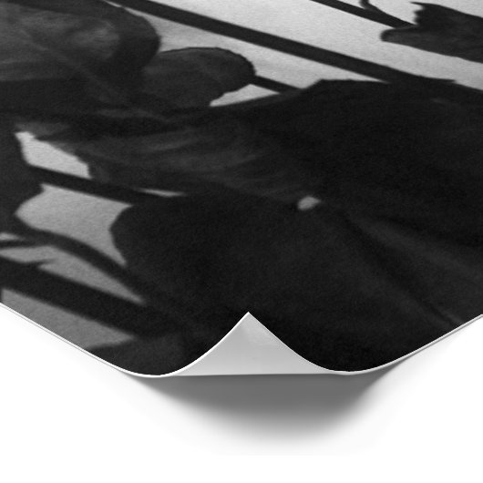 Roos [geen grens] poster (Hoek)