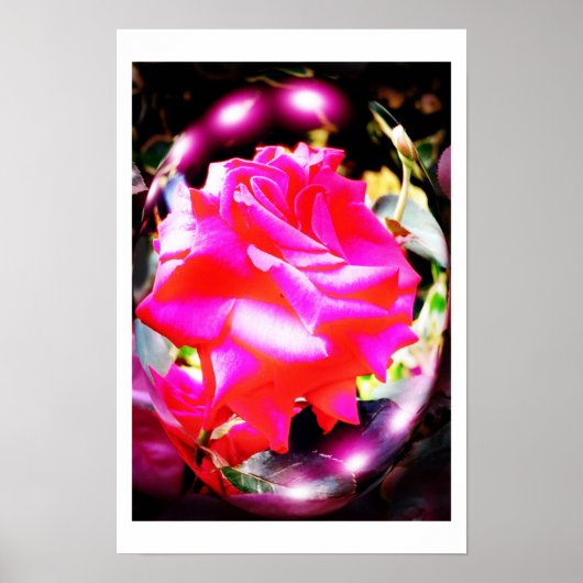 Roos geesten kunst poster (Voorkant)
