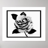 Roos gegraveerd 11x14 Poster (Voorkant)