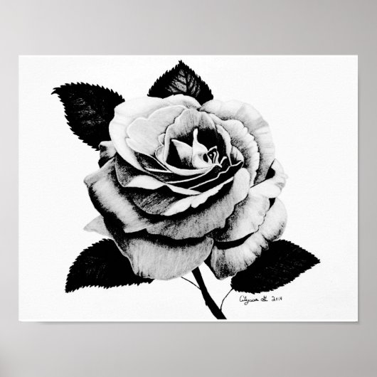 Roos gegraveerd 11x14 Poster (Voorkant)