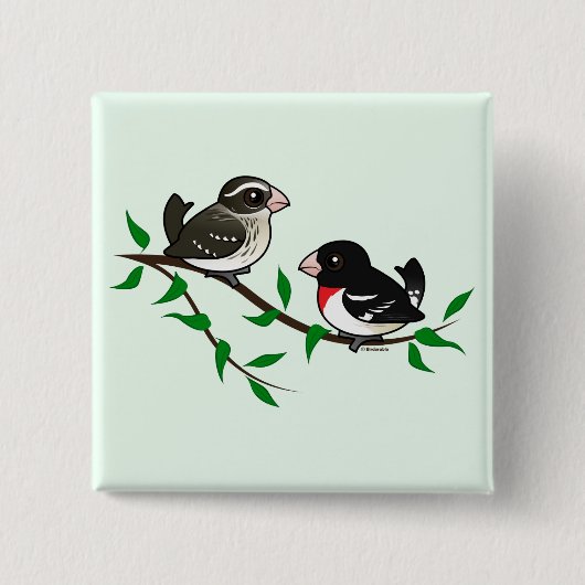 Roos-gekruiste Grosbeak Couple Vierkante Button 5,1 Cm (Voorkant)