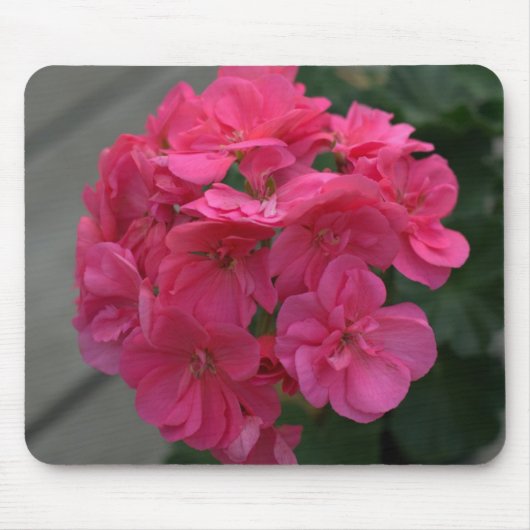 Roos Geranium Floral Mousepad Muismat (Voorkant)