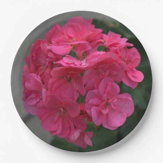  Roos Geranium Floral Papieren Bordje (Voorkant)