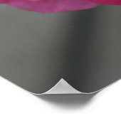 Roos Geranium Flower Poster (Hoek)