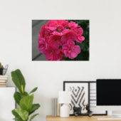 Roos Geranium Flower Poster (Thuiskantoor)