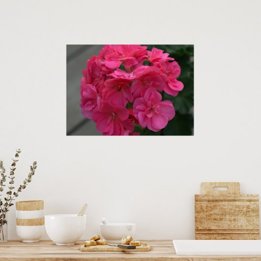 Roos Geranium Flower Poster (Keuken)