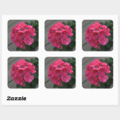 Roos Geranium Flower Vierkante Sticker (Vel)