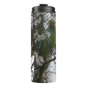 Roos geringde parkiet in Blossom Tree Tumbler Thermosbeker