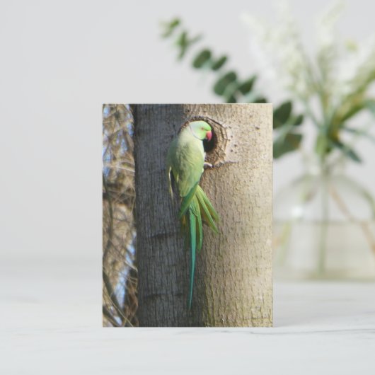 Roos geringde parkiet in Tree DIY Briefkaart (Staand voorkant)