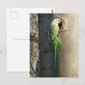 Roos geringde parkiet in Tree DIY Briefkaart (Voorkant / Achterkant)
