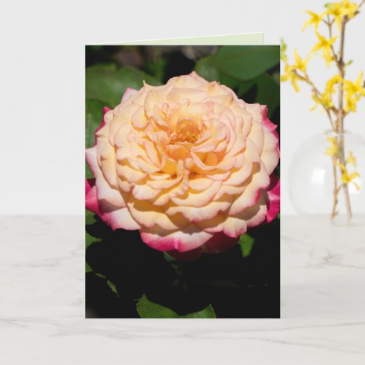Roos Glory Kaart (Gele Bloem)