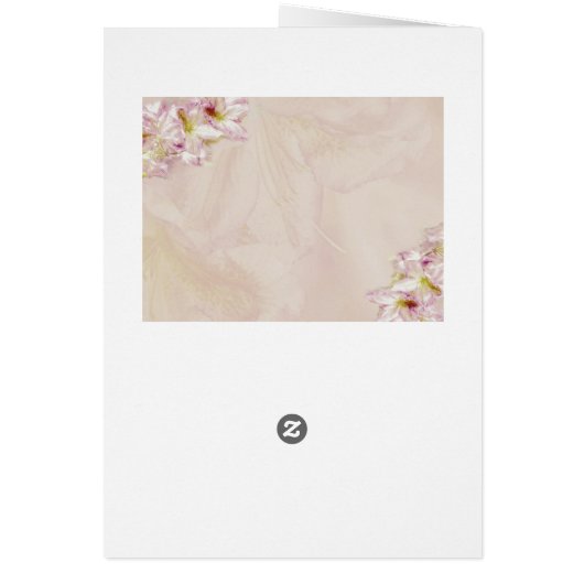 Roos Gold Azalea Fotobruiloft (Achterkant)