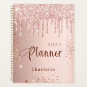 Roos Gold Blush Glitter Druppels Monogram Naam 202 Planner (Voorkant)