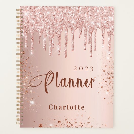 Roos Gold Blush Glitter Druppels Monogram Naam 202 Planner (Voorkant)