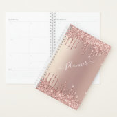 Roos Gold Blush Glitter Sparkle Drift Chic Modern Planner (Display)