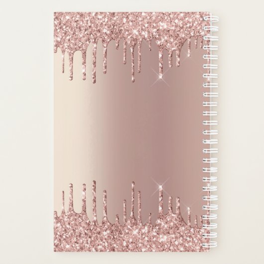 Roos Gold Blush glitter Sparkle Drift Custom Text Planner (Achterkant)