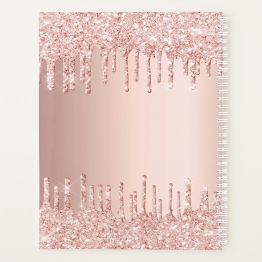 Roos Gold Drips Monogram Naam 2025 Planner (Achterkant)