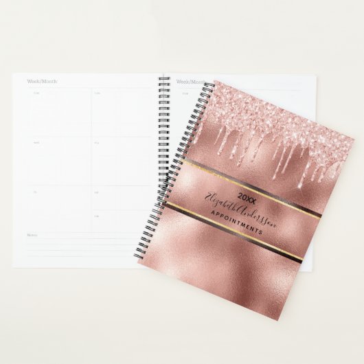 Roos Gold Drips Naam 2025 Planner (Display)