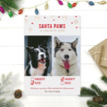 Roos Gold Foil Naughty of Nice Two Dog Photo Card Folie Feestdagenkaart<br><div class="desc">Tante en grappige feestkaarten! "Santa Paws komt naar de stad" twee kerstkaarten voor honden met ondeugende of mooie cheques en echte folieaccenten!</div>